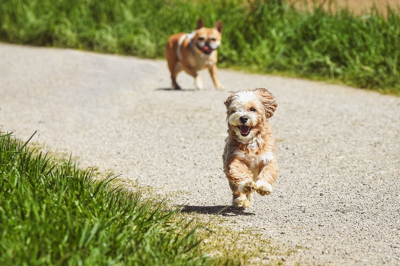Running with Awareness